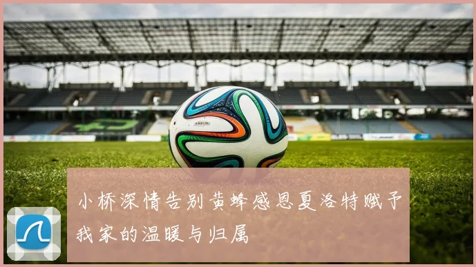 小桥深情告别黄蜂感恩夏洛特赋予我家的温暖与归属